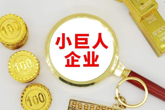 2022年“專精特新”企業(yè)開始申報，快來核查一下企業(yè)是否滿足條件 